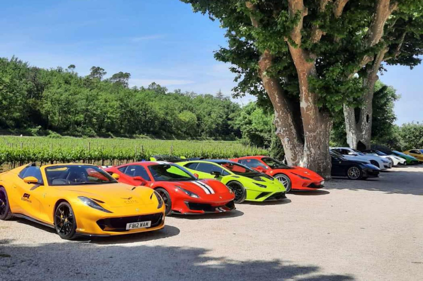 485045187_9668846263173210_5001406096854603744_n 485045187_9668846263173210_5001406096854603744_n